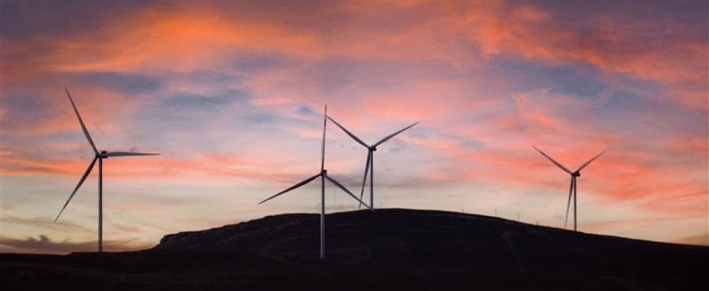 Renewable Electricity