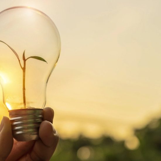As the world increasingly emphasises the importance of ESG, South African companies face mounting pressure to embed ESG into their daily operations and create meaningful impact.